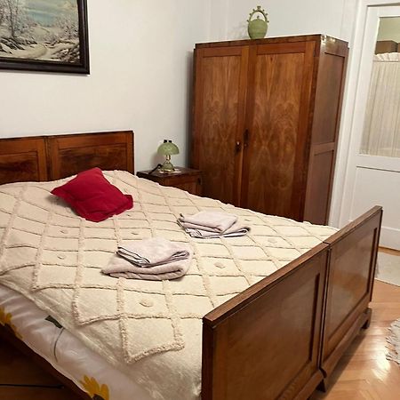 Târgu-Mureş Emese Central Vintage Apartment מראה חיצוני תמונה