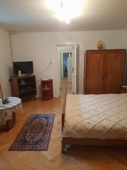 Târgu-Mureş Emese Central Vintage Apartment מראה חיצוני תמונה