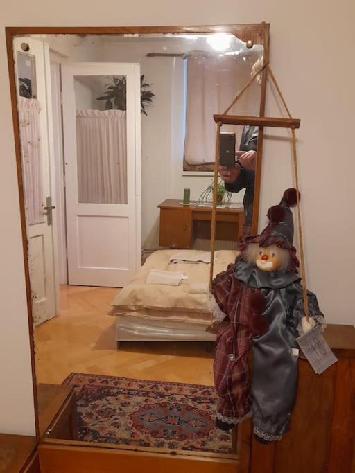 Târgu-Mureş Emese Central Vintage Apartment מראה חיצוני תמונה